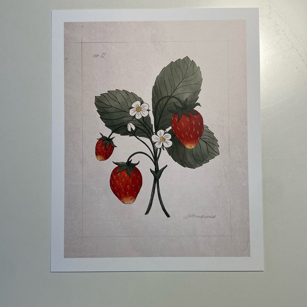 Jilly Box Wild Strawberry Print